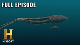 MonsterQuest GIANT SQUID DISCOVERED S1 E3  Full Episode [upl. by Shela959]