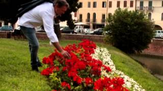 MARCO amp IL CLAN  ROSSE ROSE VIDEO UFFICIALE [upl. by Enrol139]