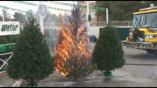 Las Vegas Fire Department Burning Christmas Tree Demo [upl. by Makell]