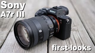 Sony A7r III review  first looks [upl. by Aerdua]