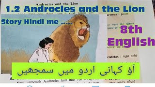 12Androcles and the Lion story in UrduHindistd 8th English مکمل اردو وضاحت کے ساتھ [upl. by Chev]