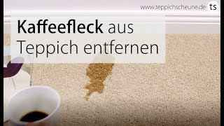 Kaffeeflecken entfernen aus Teppich und Teppichboden OHNE SpezialReinger Teppichscheunede [upl. by Aerdnat]