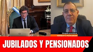 🚨 INCREÍBLE‼️ ESTO PAGARA Milei en NOVIEMBRE 2024 😳JUBILADOS Y PENSIONADOS de Anses [upl. by Nicks]