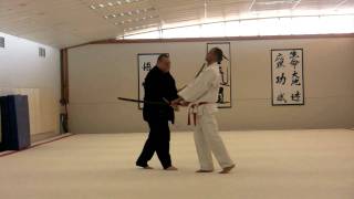 Aikido Atemi Waza With Bokken [upl. by Hindu]