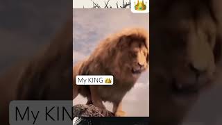 Come come come 👑 gospelmusic love christianmusic morethanthis comejesuscome jesus lion [upl. by Apurk177]