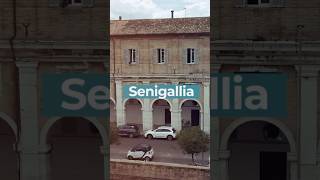 Senigallia  Short Video [upl. by Jacobson]