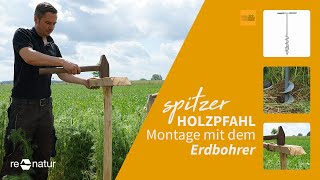 Holzpfahl mit Spitze im Boden befestigen  so einfach gehts [upl. by Hedelman509]