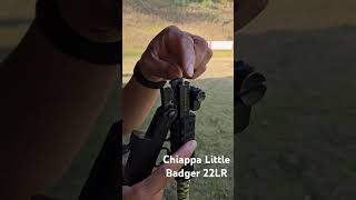 Survival Gun  Chiappa Little Badger 22LR nature asmr warzone shortsvideo pubgmobile pubg [upl. by Erialc274]