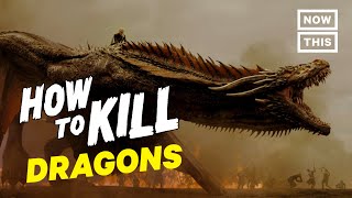 How to Kill Dragons  Slash Course  NowThis Nerd [upl. by Eisaj]