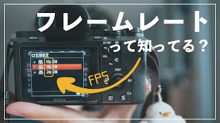 動画にマジで大事なフレームレートって知ってる？3分で解説します。 [upl. by Pompei444]