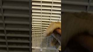 Cleaning your wall heater with ease [upl. by Niliram]