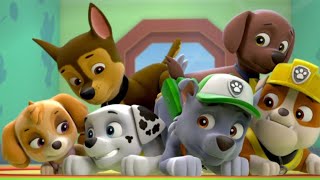 Paw Patrol new series  Щенячий патруль новые серии [upl. by Jasen]