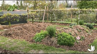 Créer des buttes rondes maraîchères  Année 1 Permaculture  Truffaut [upl. by Hakkeber]