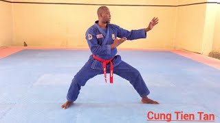 explications des positions de basevovinam viet Vo dao Sénégal [upl. by Pussej]