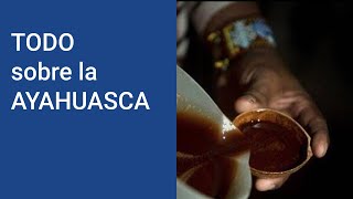 AYAHUASCA ¿Qué es la ayahuasca y que EFECTOS tiene la ayahuasca ¿Dónde pruebo la ayahuasca [upl. by Eemak201]