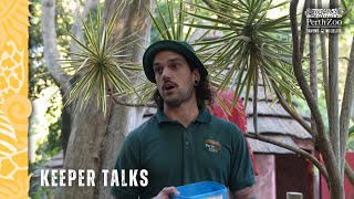 Perth Zoo Keeper Talks 2024 [upl. by Nath52]