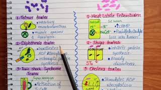 ExotoxinsBacteria exotoxinsExotoxins examples [upl. by Oirom]