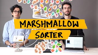 Sorting Marshmallows with AI Using Coral  Teachable Machine [upl. by Aramoj]