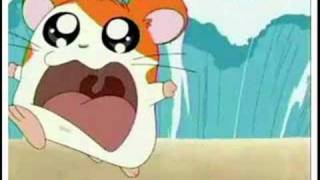 hamtaro arabic opening [upl. by Nednarb]