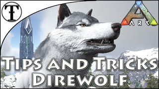 Fast Direwolf Taming Guide  Ark  Survival Evolved Tips and Tricks [upl. by Gaillard]