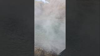 Hot water Rotorua newzealandnature travel newzealandtourism nature [upl. by Pawsner]