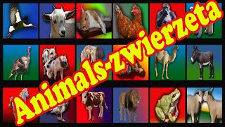 Animals dla dzieci  Nauka zwierząt  Odgłosy zwierząt dla dzieci BAJKI DLA DZIECI [upl. by Anirual]