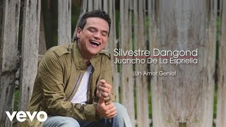 Silvestre Dangond  Un Amor Genial Cover Audio [upl. by Htedirem68]