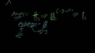 3  Introduction to Pathology  Atrophy Metaplasia [upl. by Milty]