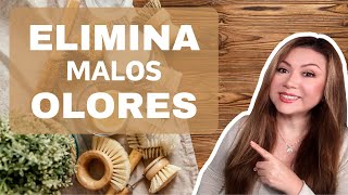 AROMA DELICIOSO EN TU HOGAR CON ESTAS IDEAS Y TIPS 🏠 EXCELENTES OPCIONES PARA AROMATIZAR TU CASA 🏠 [upl. by Evangelin949]