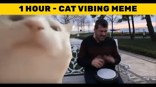 Cat Vibing To Ievan Polkka  1 HOUR  Cat Vibing Meme 😂 😂 😂 [upl. by Bertie]