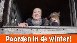 Hoe verzorg je je paard in de winter  PaardenpraatTV [upl. by Lupita]