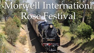 Steamrail’s R711 to the Morwell International Rose Festival [upl. by Akcirederf]