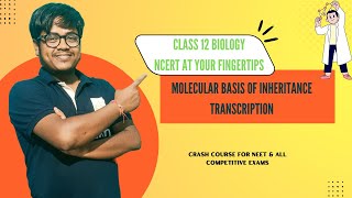 Molecular Basis of Inheritance ll Transcription ll Transcription Factors [upl. by Base828]