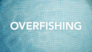 Overfishing [upl. by Viglione]