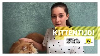 Kattentaal communiceren met een kitten │ Kittentijd 4 [upl. by Nosecyrb]