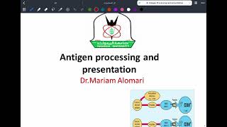 Immunology L8 C1C2 Antigen processing amp presentation P1 [upl. by Merissa]