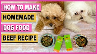 HOMEMADE DOG FOOD DIY Beef Recipe Vet Formulated The Poodle Mom [upl. by Arok310]