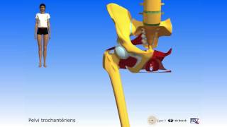 Apprendre lanatomie grâce à la 3D [upl. by Ellennahc]