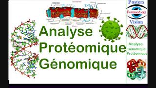 Proteome et Genome Analyse génomique protéomique interaction des protéines ligands bioinformatique [upl. by Latsirk]