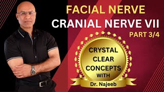 Facial Nerve  Neuroanatomy  Part 34 [upl. by Lotsyrc]