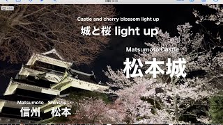 松本城  2023 城と桜 ライトアップ Matsumoto Castle Cherry blossom light up at night [upl. by Adlen]