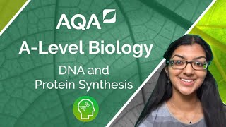 AQA A Level Biology DNA and Protein Synthesis [upl. by Donnie]