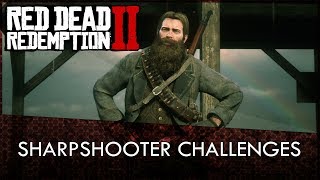 Red Dead Redemption 2 Sharpshooter Challenges Guide [upl. by Othelia]