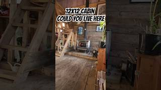 12x12 Cabin Could You Live Here [upl. by Semajwerdna]