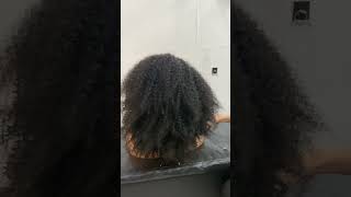 Afro curly hair wig afrowighairwighairstyleafrocurlywigwiginstallwigreview [upl. by Aprilette]