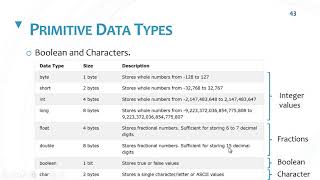 Variables Primitive Data Types  Java [upl. by Tracee]