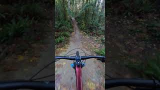 My favorite trail at Duthie Hill Mountain Bike Park [upl. by Nytram]