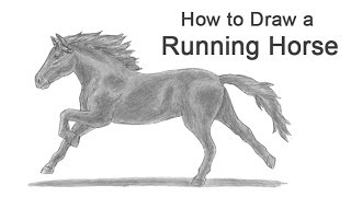 How to Draw a Horse Running [upl. by Pardner]