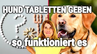 HUND TABLETTE geben ✅ mit Dr med vet C Koch  WGW 6 [upl. by Heppman]