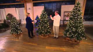 Balsam Hill 5 Northland Pine Christmas Tree w Easy Plug with Dan Hughes [upl. by Yoo]